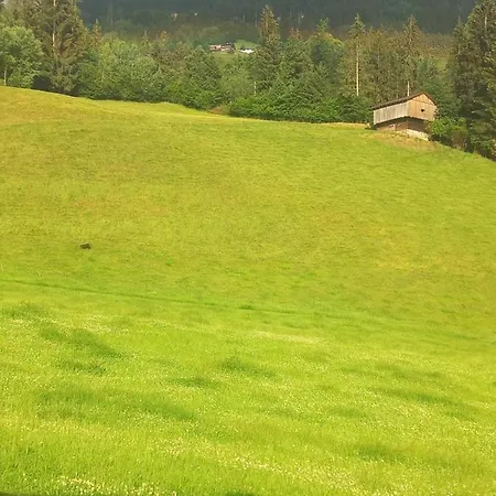 Apartment Mount Gilfert View