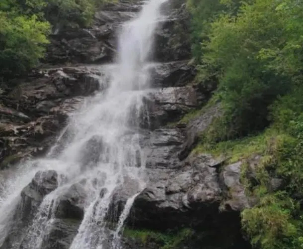 Lejlighed Mount Gilfert View *