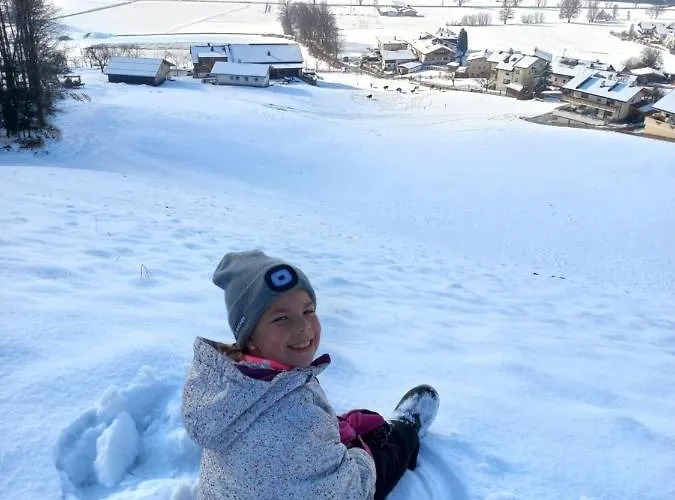Mount Gilfert View * Hart im Zillertal