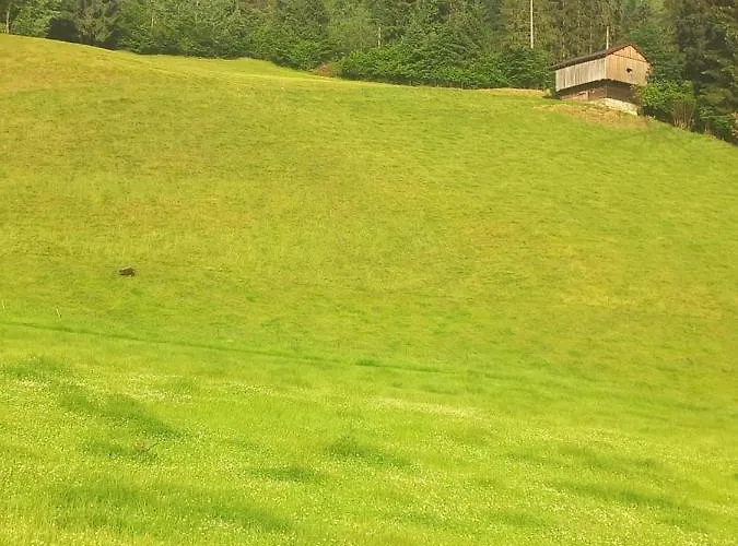 Lejlighed Mount Gilfert View