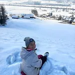 Mount Gilfert View * Hart im Zillertal